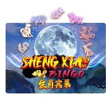 Sheng Xiao Bingo - DEMO MBS