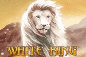 White King - DEMO MBS