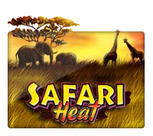 Safari Heat - DEMO MBS