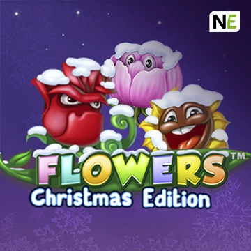 Flowers Christmas Edition - DEMO MBS
