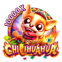 CHILIHUAHUA - DEMO MBS