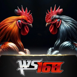 Ws168 Sabung - DEMO MBS