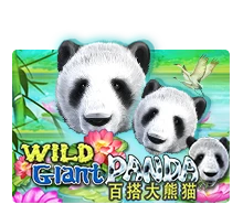 Wild Giant Panda - DEMO MBS