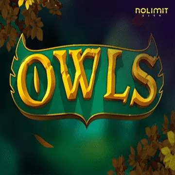 Owls - DEMO MBS
