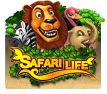 Safari Life - DEMO MBS