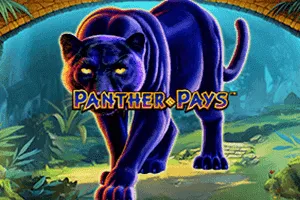 Panther Pays - DEMO MBS