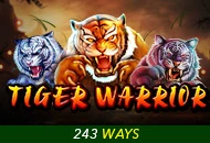 Tiger Warrior - DEMO MBS