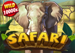 Safari - DEMO MBS