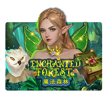 Enchanted Forest - DEMO MBS
