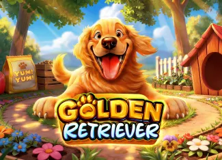 Golden Retriever - DEMO MBS