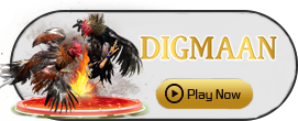 Digman - DEMO MBS