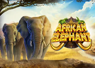 African Elephant - DEMO MBS